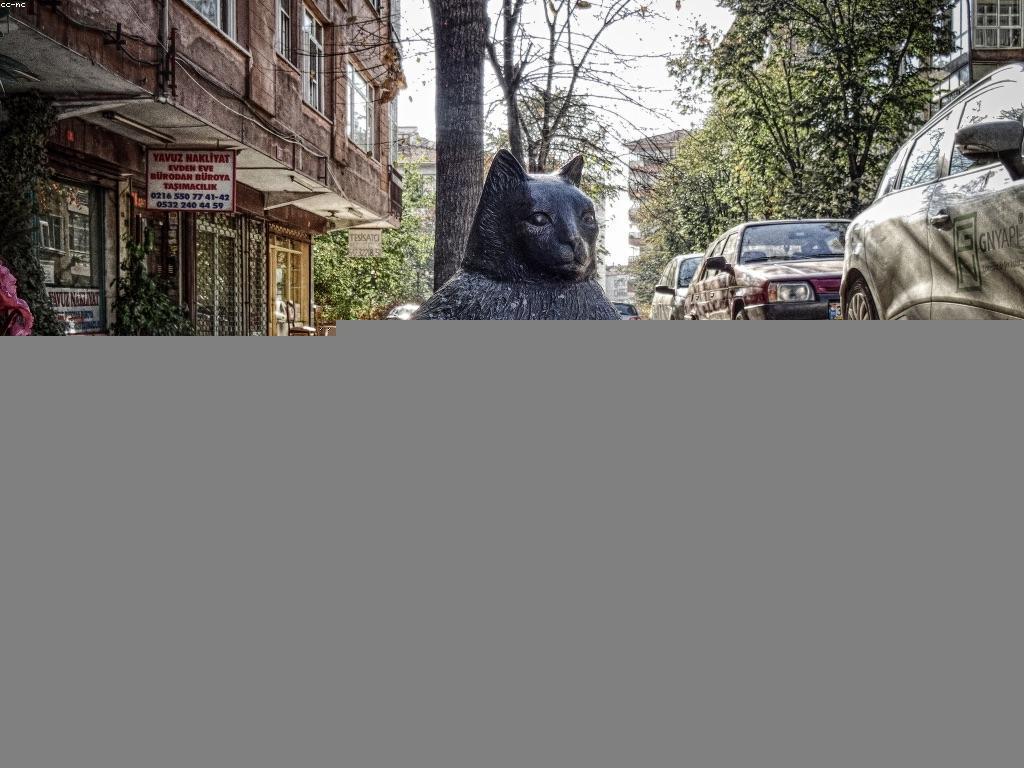 យុទ្ធសាស្ត្រសម្រាប់ការលេងស្ឌុបកម្រិតខ្ពស់