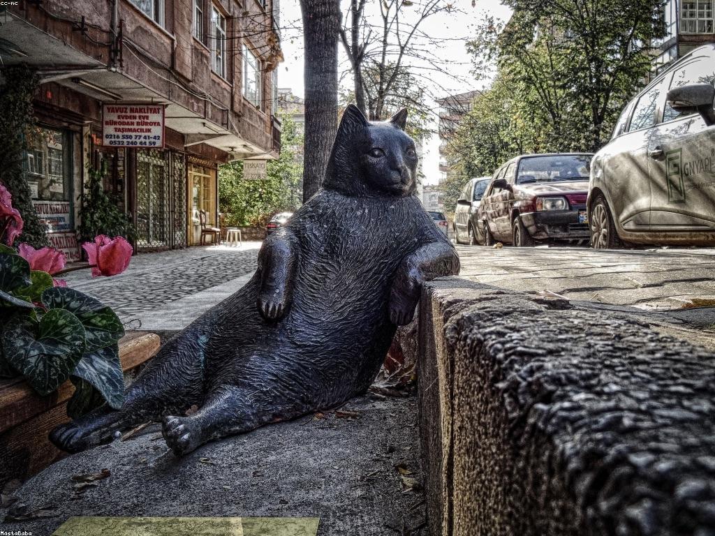 យុទ្ធសាស្ត្រលេងស្ឌុប: របៀបបង្កើនជំនាញនិងការយកចិត្តទុកដាក់ទៅលើការលេង