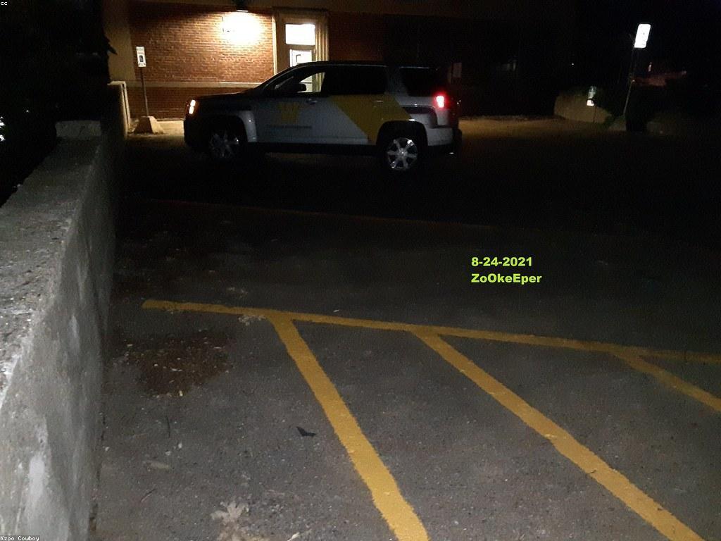 ការណែនាំស្ឌុប: របៀបជ្រើសរើសចានស្ឌុប