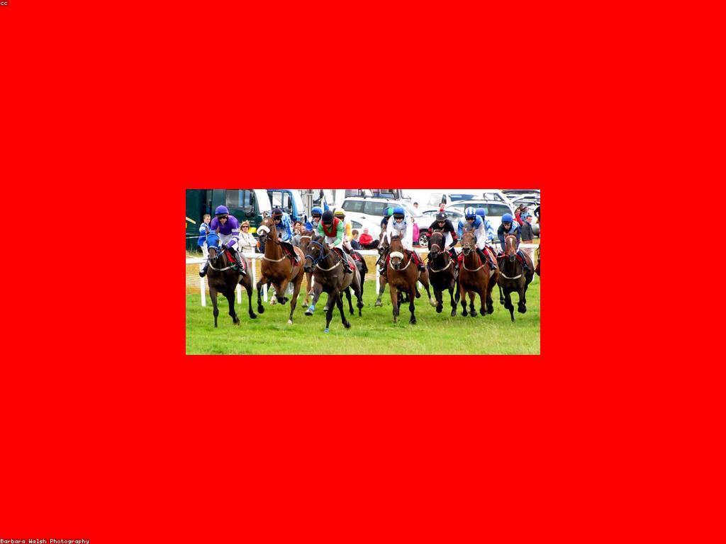 ការជ្រើសរើសពហុកីឡាដ្ឋានសម្រាប់ការភ្នាល់លើស្ឌុប